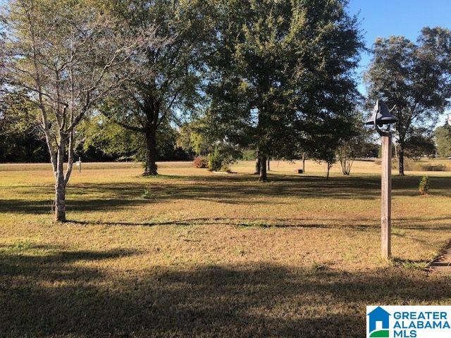 452 Curry Station Road Munford, AL 36268 - Photo 32 of 33
