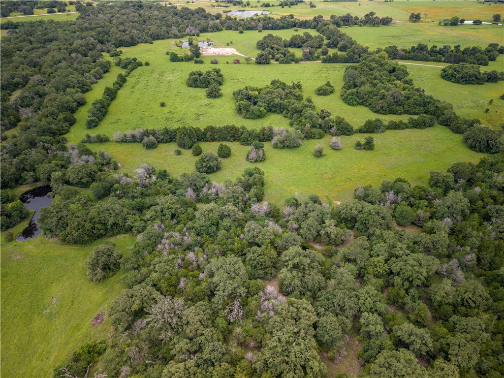 10102 Ferrill Creek Road Bryan, TX 77808 - Photo 20 of 29