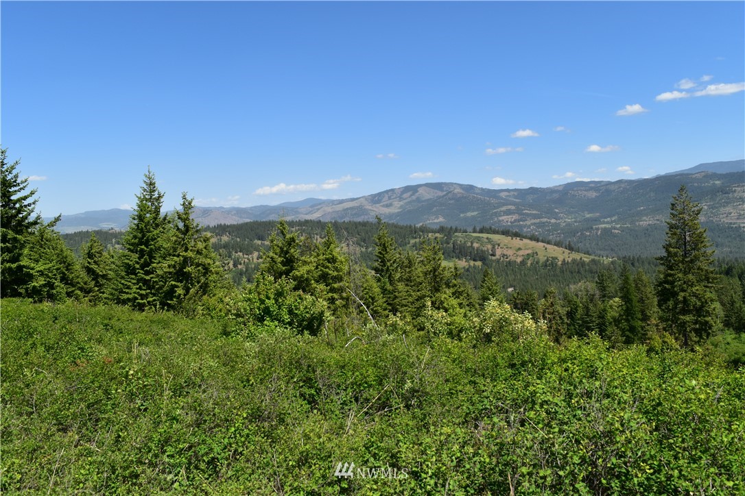 -tbd Silver Creek Road Inchelium, WA 99138 - Photo 1 of 21 Gallery Image 1