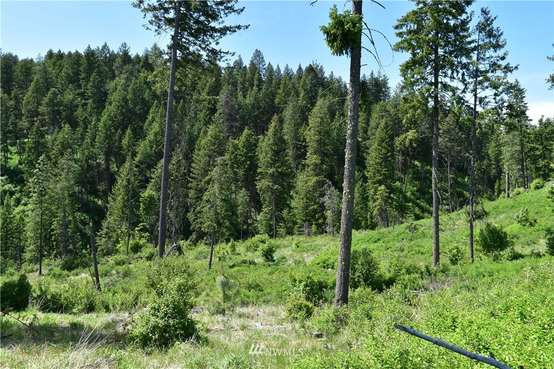 -tbd Silver Creek Road Inchelium, WA 99138 - Photo 2 of 21 Gallery Image 2