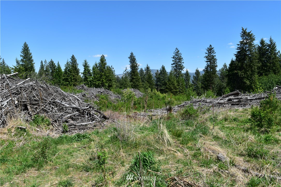 -tbd Silver Creek Road Inchelium, WA 99138 - Photo 11 of 21 Gallery Image 11