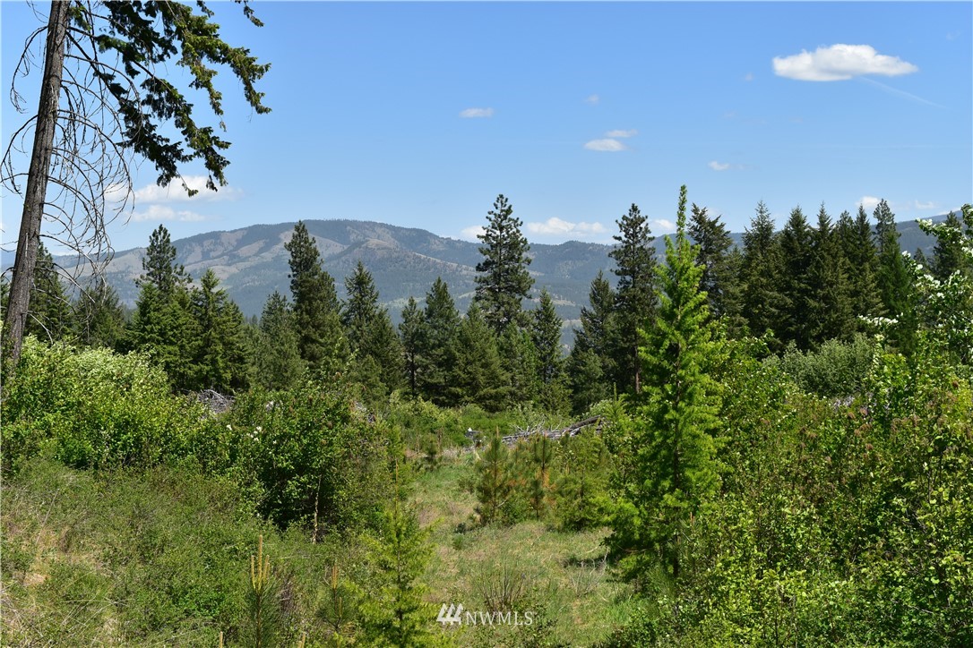 -tbd Silver Creek Road Inchelium, WA 99138 - Photo 12 of 21 Gallery Image 12