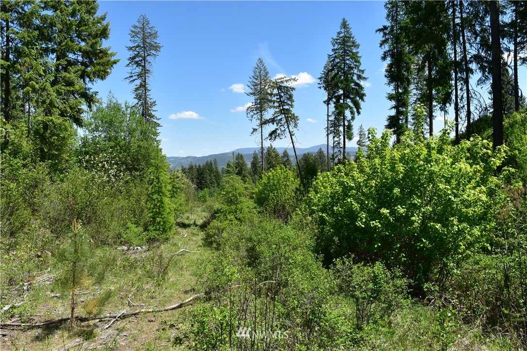 -tbd Silver Creek Road Inchelium, WA 99138 - Photo 15 of 21 Gallery Image 15
