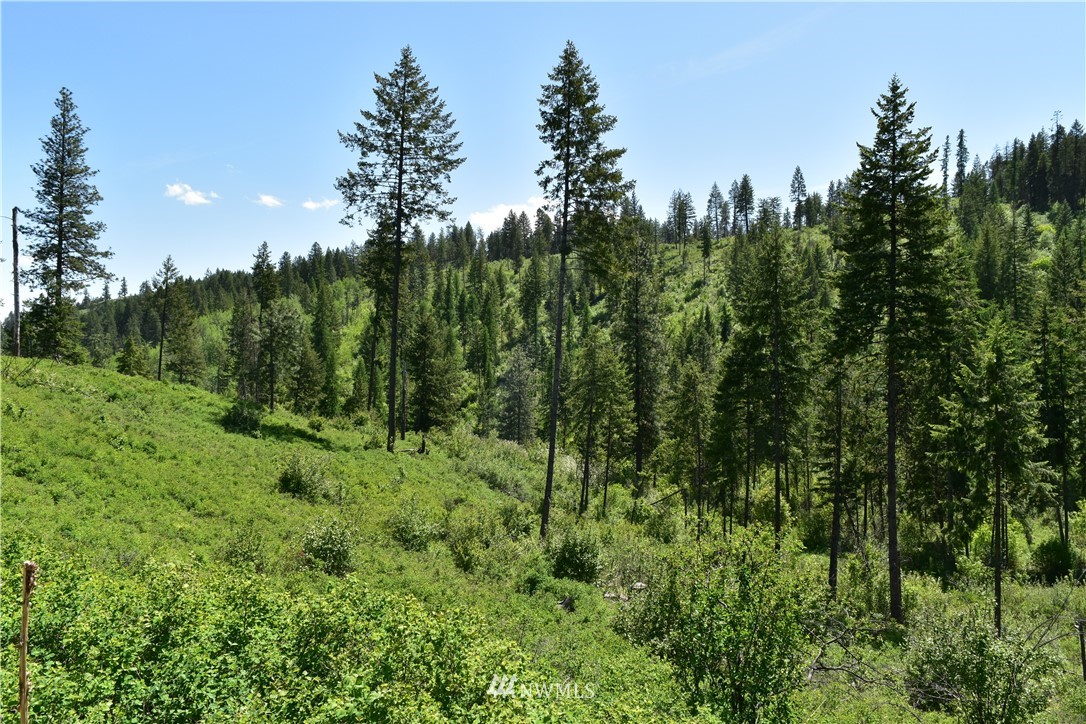 -tbd Silver Creek Road Inchelium, WA 99138 - Photo 17 of 21 Gallery Image 17