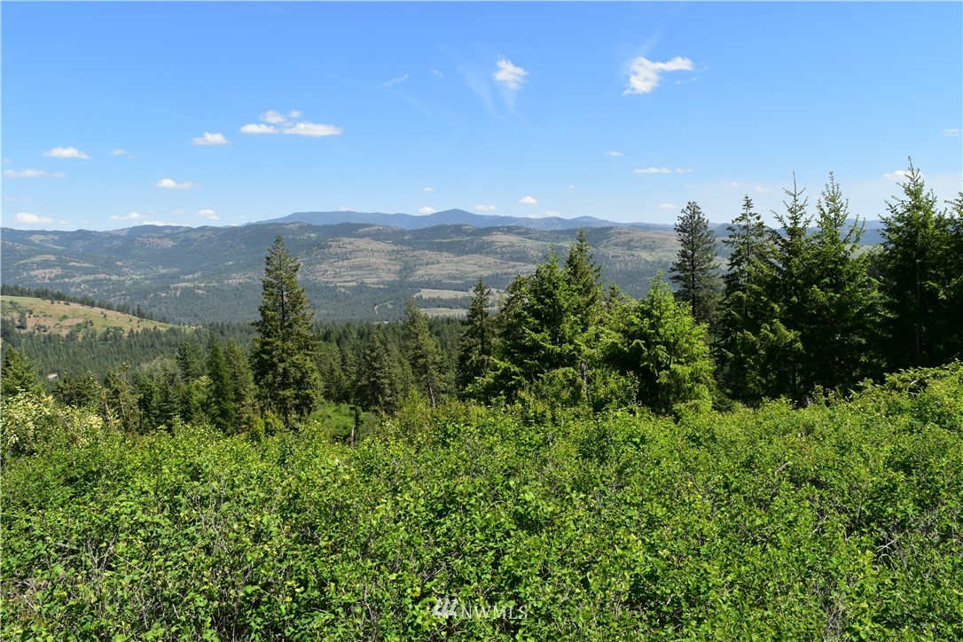 -tbd Silver Creek Road Inchelium, WA 99138 - Photo 18 of 21 Gallery Image 18