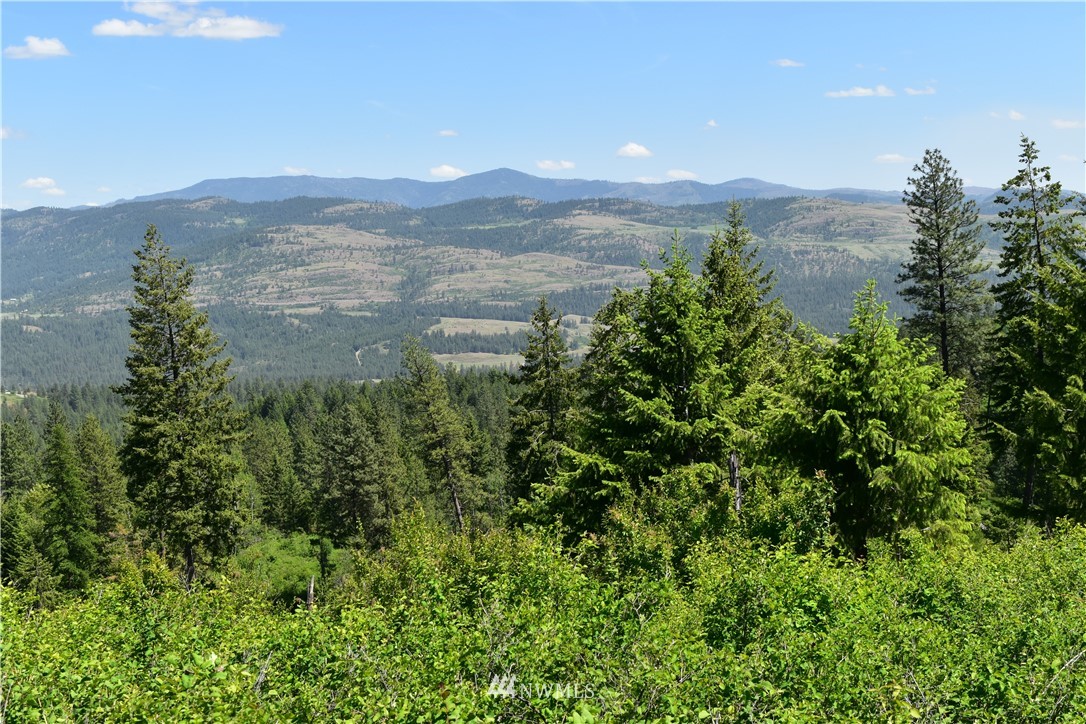 -tbd Silver Creek Road Inchelium, WA 99138 - Photo 19 of 21 Gallery Image 19