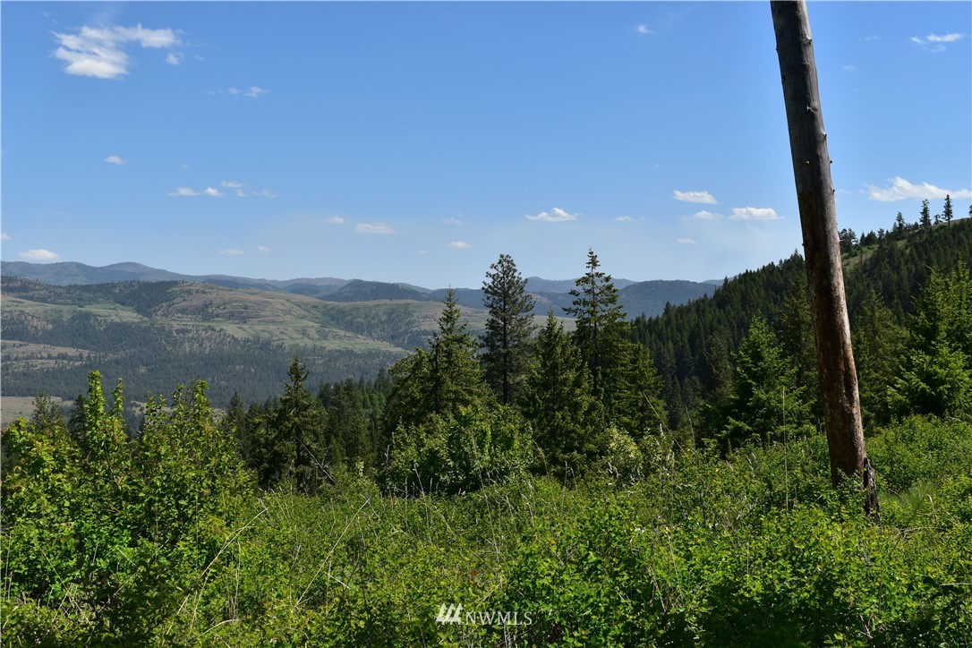 -tbd Silver Creek Road Inchelium, WA 99138 - Photo 20 of 21 Gallery Image 20