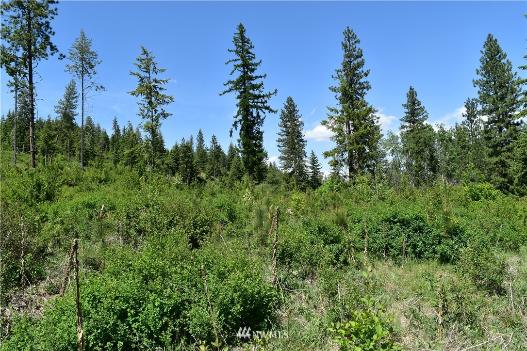 -tbd Silver Creek Road Inchelium, WA 99138 - Photo 3 of 21 Gallery Image 3