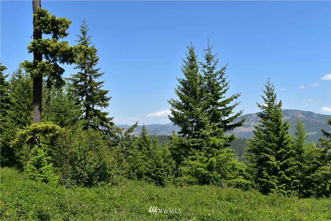 -tbd Silver Creek Road Inchelium, WA 99138 - Photo 21 of 21 Gallery Image 21