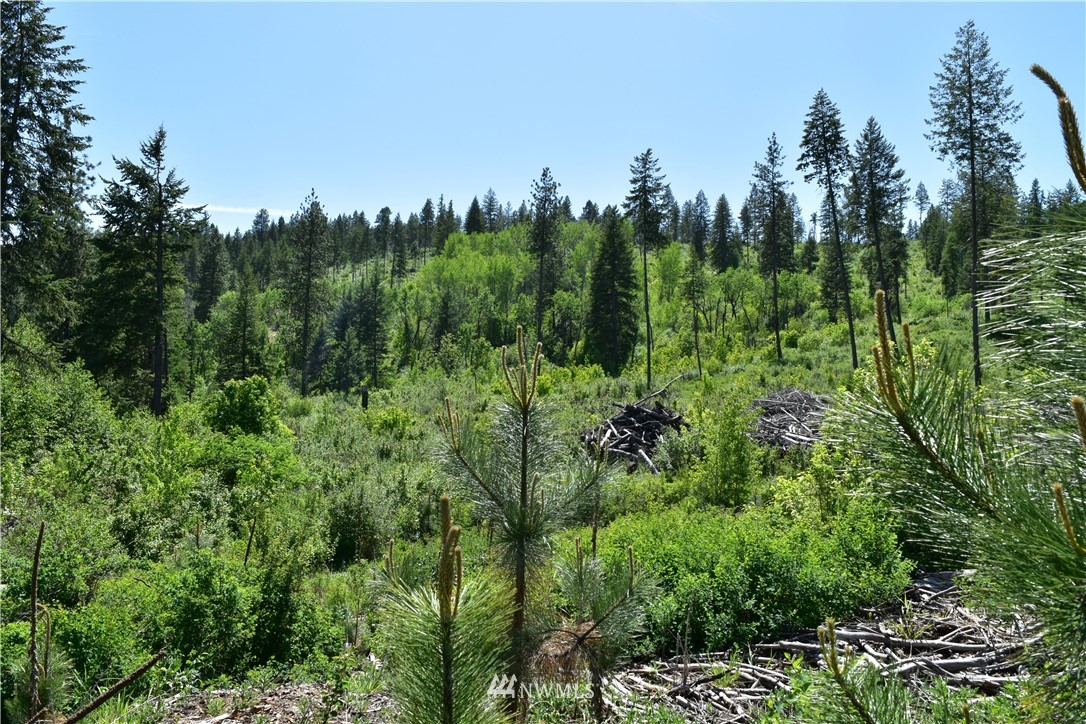 -tbd Silver Creek Road Inchelium, WA 99138 - Photo 5 of 21 Gallery Image 5