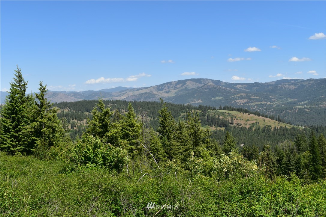 -tbd Silver Creek Road Inchelium, WA 99138 - Photo 6 of 21 Gallery Image 6