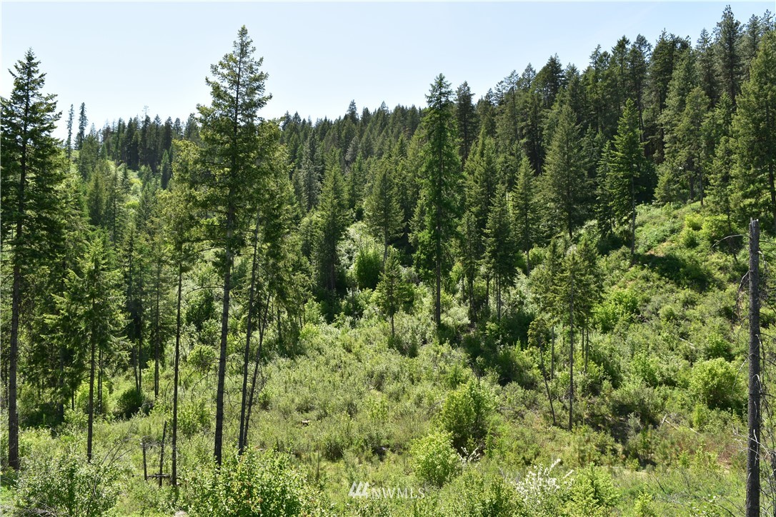 -tbd Silver Creek Road Inchelium, WA 99138 - Photo 7 of 21 Gallery Image 7