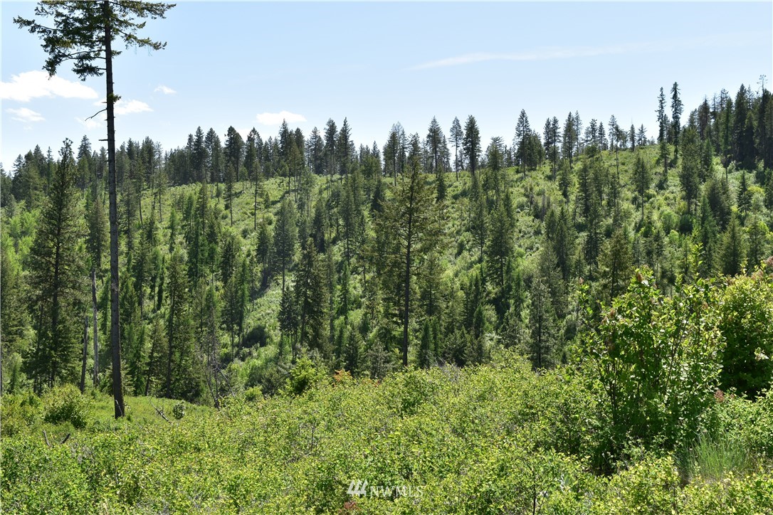 -tbd Silver Creek Road Inchelium, WA 99138 - Photo 8 of 21 Gallery Image 8