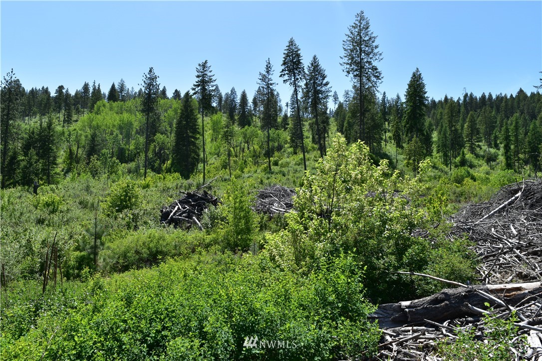 -tbd Silver Creek Road Inchelium, WA 99138 - Photo 9 of 21 Gallery Image 9