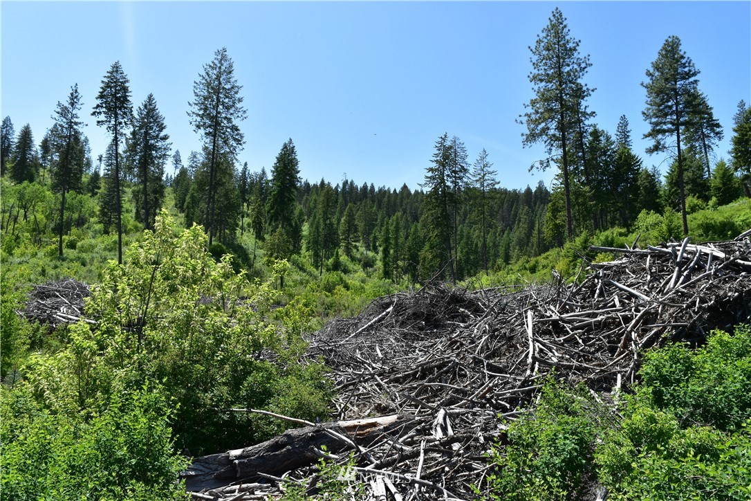 -tbd Silver Creek Road Inchelium, WA 99138 - Photo 10 of 21 Gallery Image 10