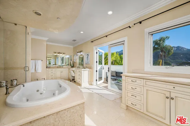 a bathroom with a tub a potted plant and a sink