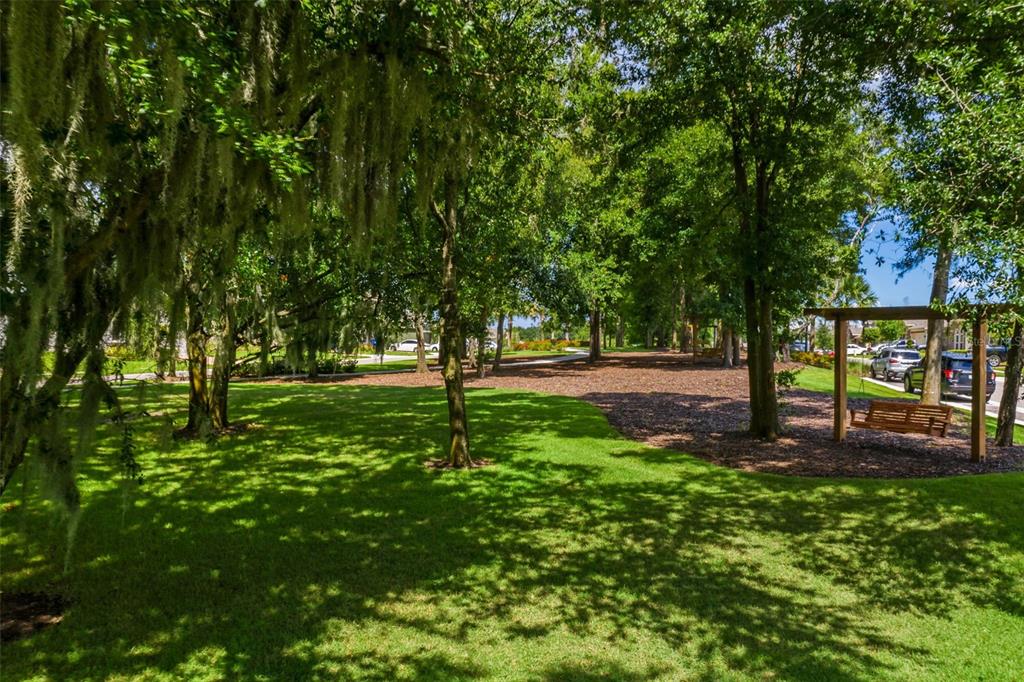 2541 Red Berry Way Ocoee, FL 34761 - Photo 40 of 49