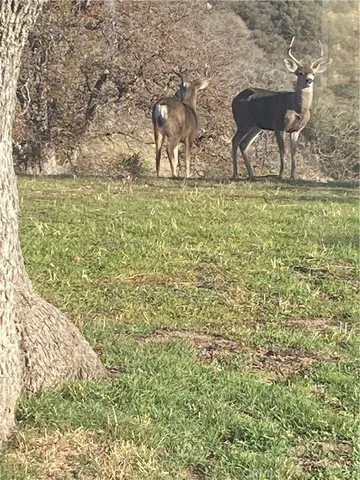 $2,200 | 29400 Skyline Drive, Tehachapi, CA 93561
