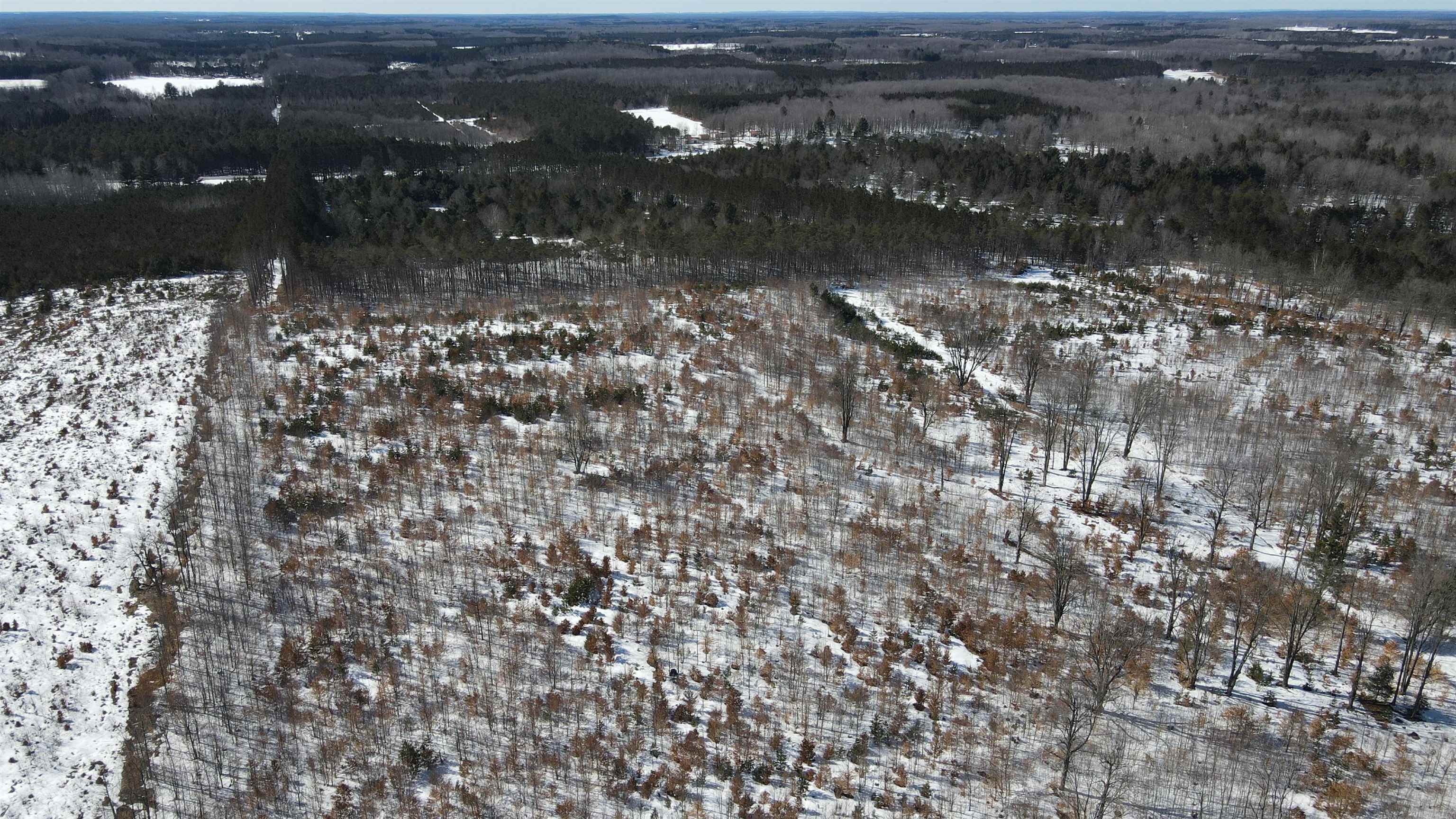 Southeast Campbell Road Southeast Kalkaska, MI 49646 - Photo 17 of 23