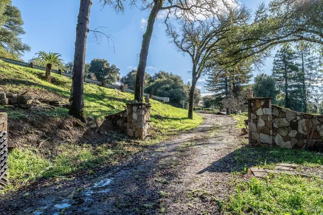 a view of a park with large trees