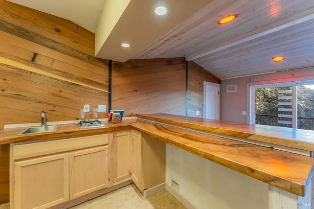 a view of a backyard with plants and large tree