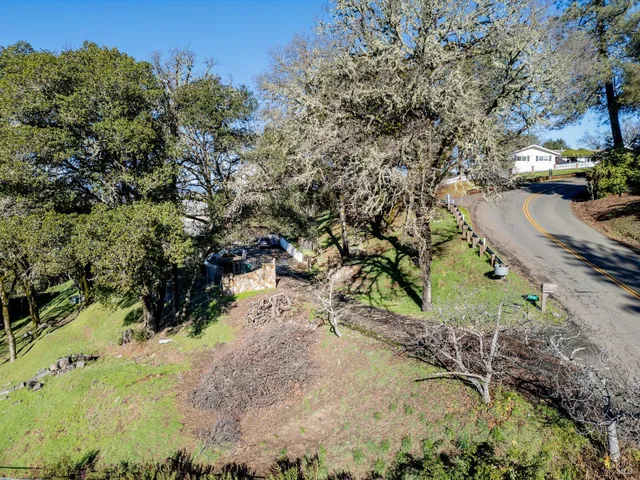 a view of a yard with yellow plants