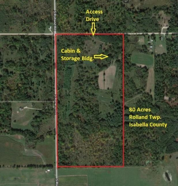 9200 South Rolland Road Blanchard, MI 49310 - Photo 1 of 40 Aerial-IsabellaCo80