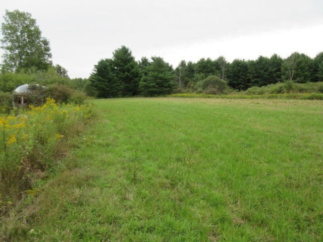 9200 South Rolland Road Blanchard, MI 49310 - Photo 28 of 40 IMG_1572