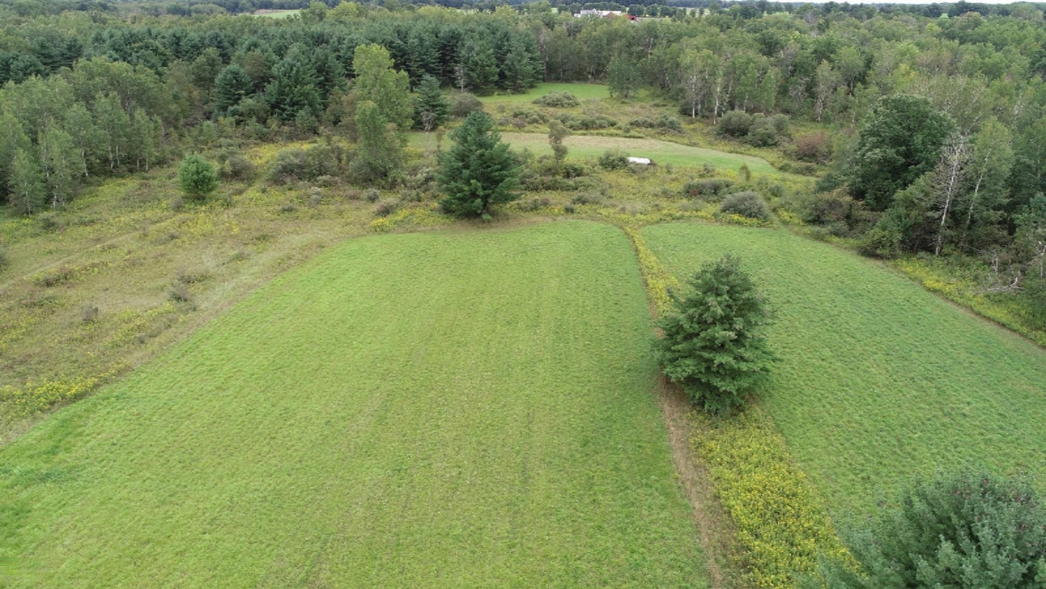 9200 South Rolland Road Blanchard, MI 49310 - Photo 3 of 40 DJI_0021