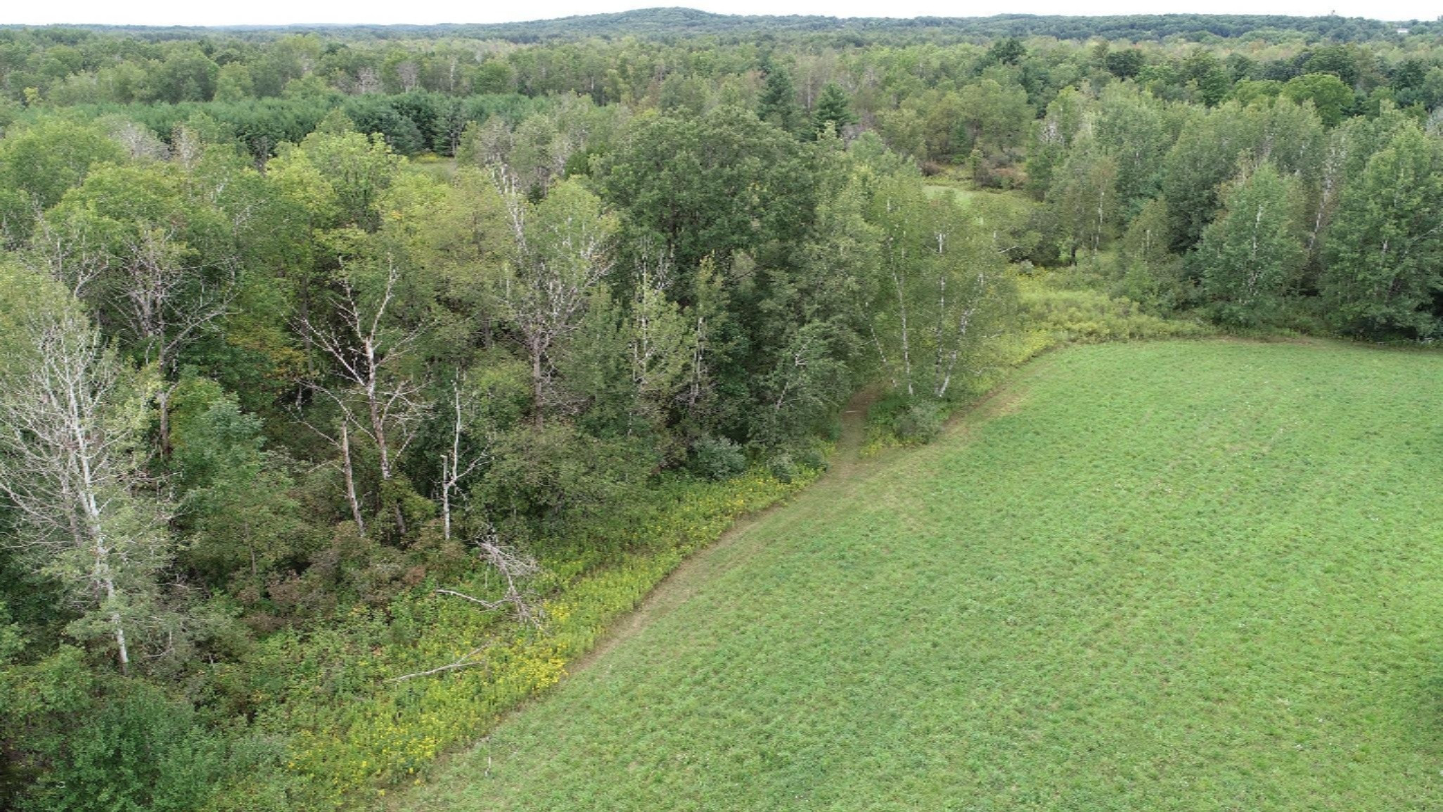 9200 South Rolland Road Blanchard, MI 49310 - Photo 6 of 40 DJI_0025