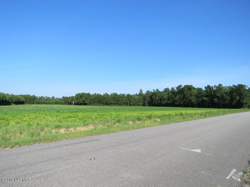 0 Fowler School Road Green Sea, SC 29545 - Photo 4 of 8 4