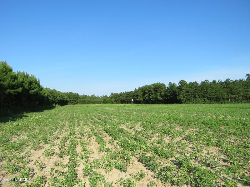 0 Fowler School Road Green Sea, SC 29545 - Photo 7 of 8 7
