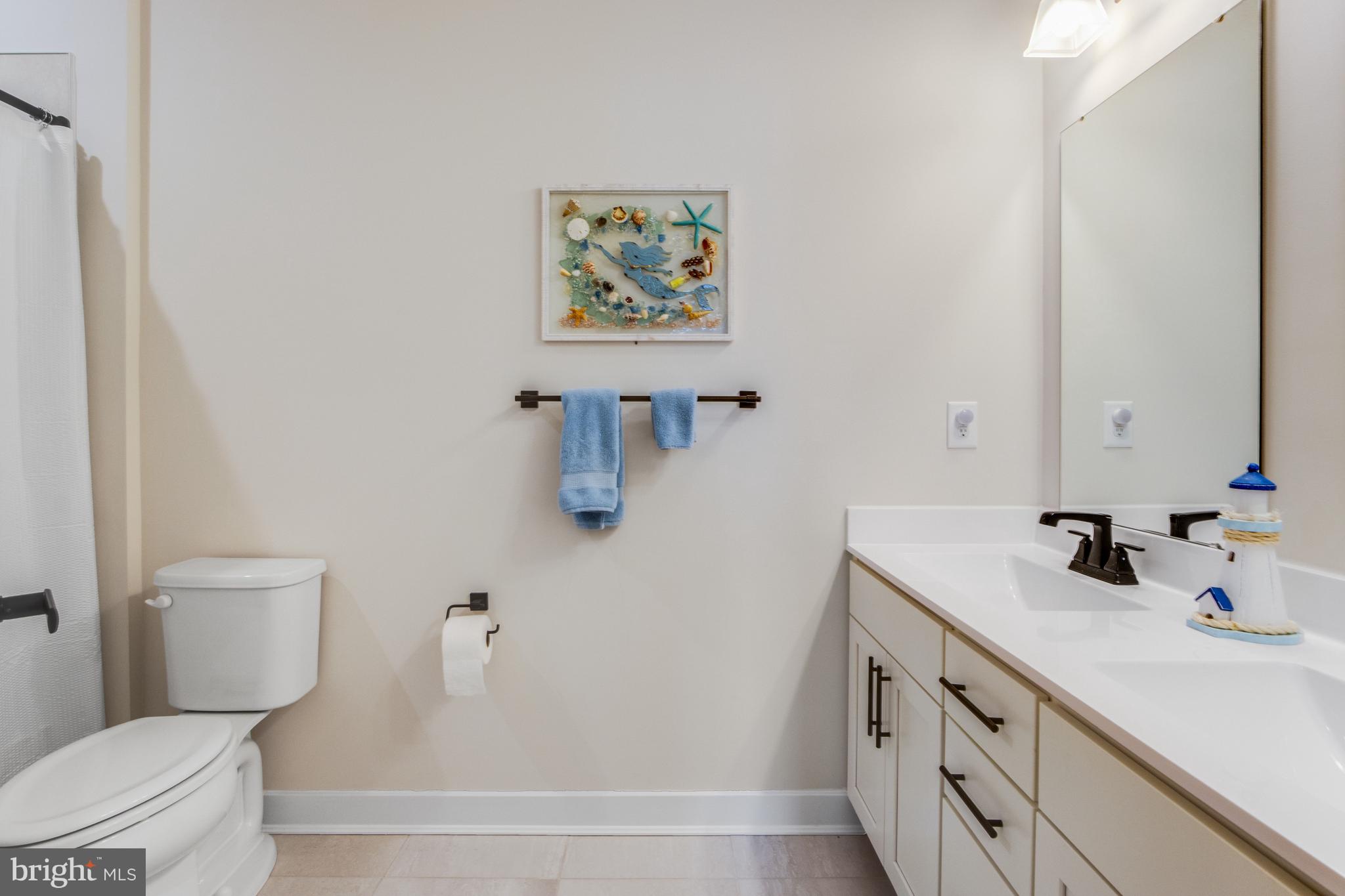 28040 Celestial Way Lewes, DE 19958 - Photo 23 of 60