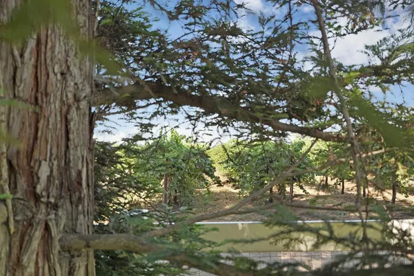 $1,800,000 | 21649 Des Moines Road, Acampo, CA 95220