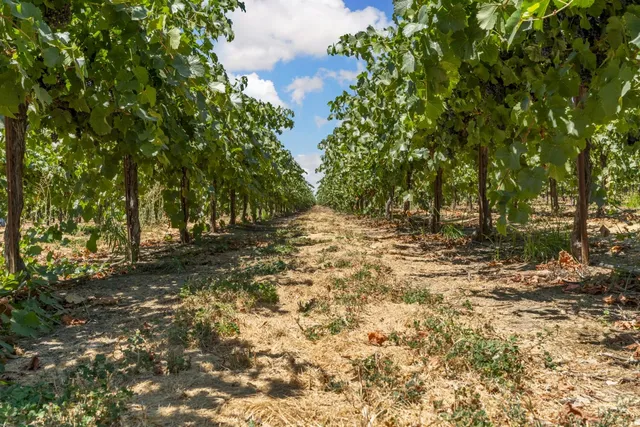 $2,099,000 | 21649 Des Moines Road, Acampo, CA 95220