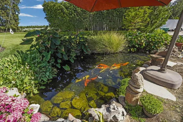 $1,800,000 | 21649 Des Moines Road, Acampo, CA 95220