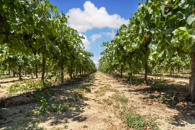 $2,099,000 | 21649 Des Moines Road, Acampo, CA 95220