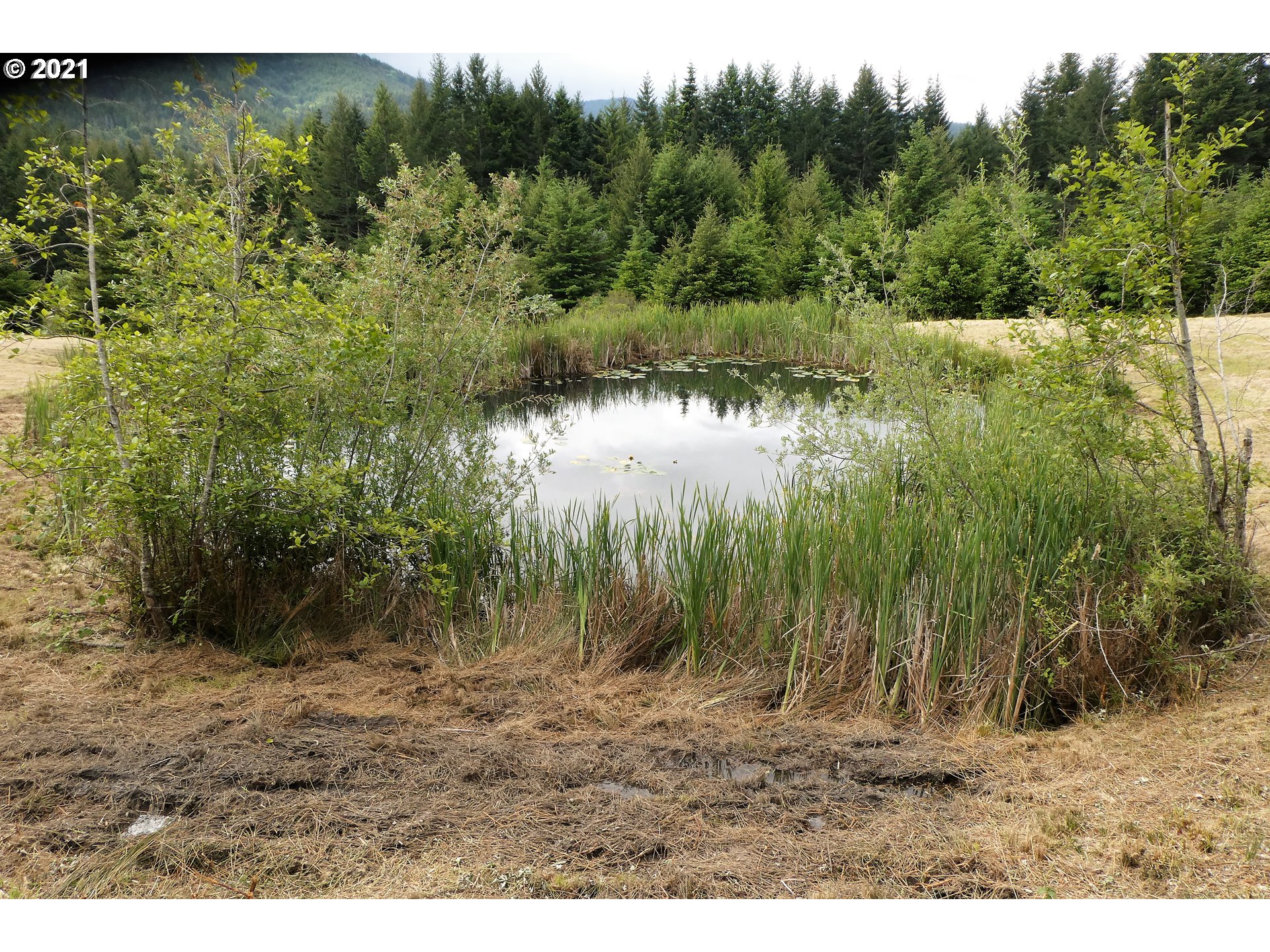 Miller Ranch Road, Unit 400 Gold Beach, OR 97444 - Photo 21 of 32 Gallery Image 21