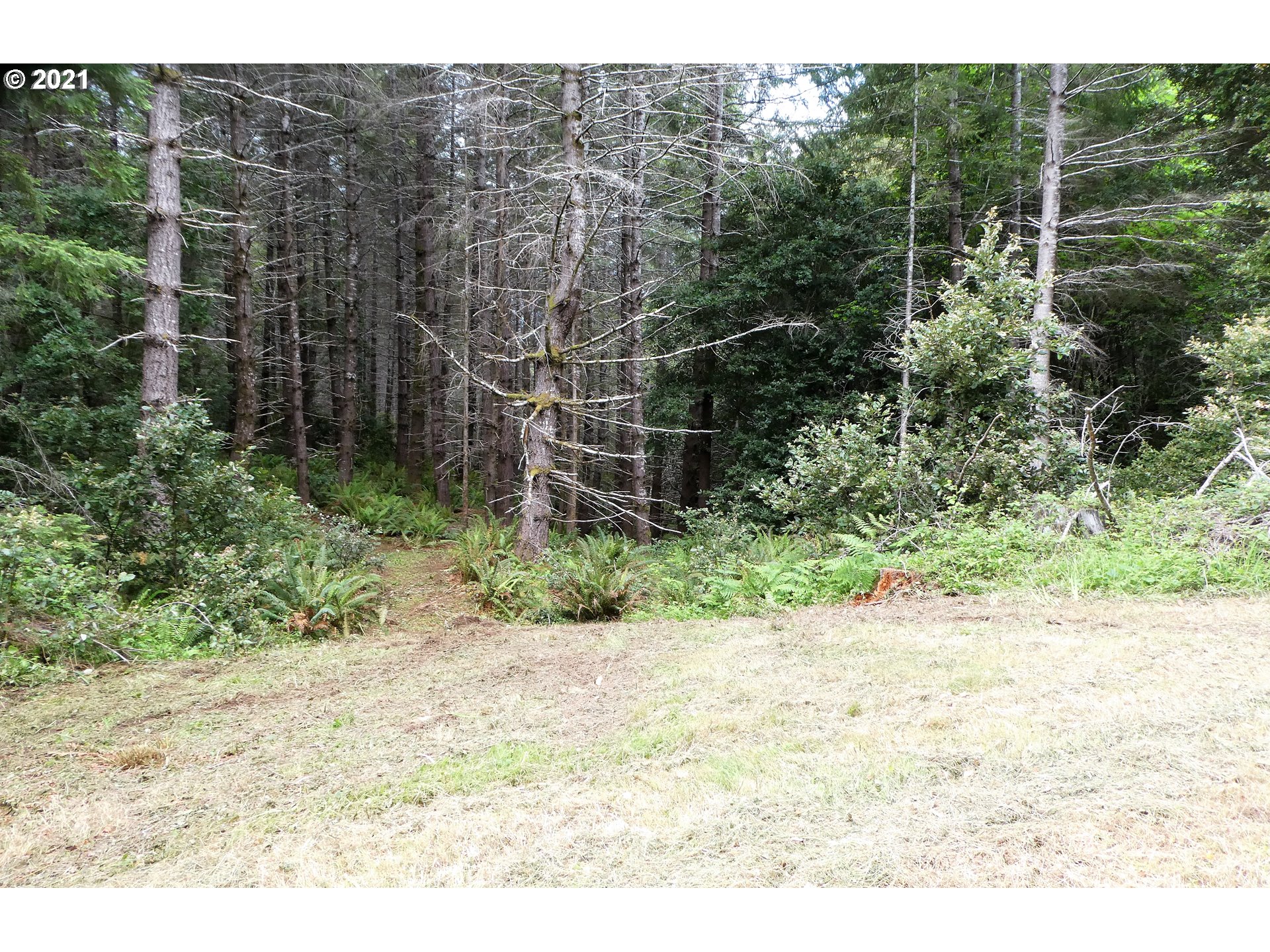 Miller Ranch Road, Unit 400 Gold Beach, OR 97444 - Photo 29 of 32 Gallery Image 29