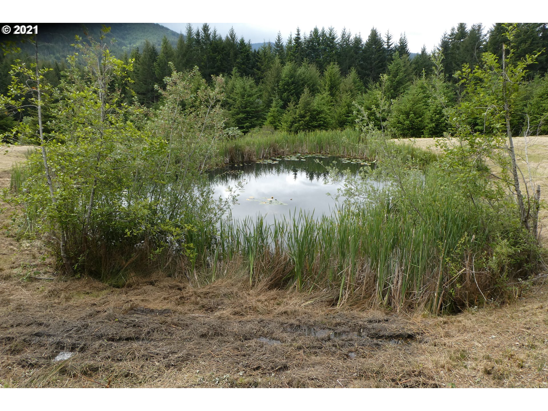 Miller Ranch Road, Unit 400 Gold Beach, OR 97444 - Photo 32 of 32 Gallery Image 32