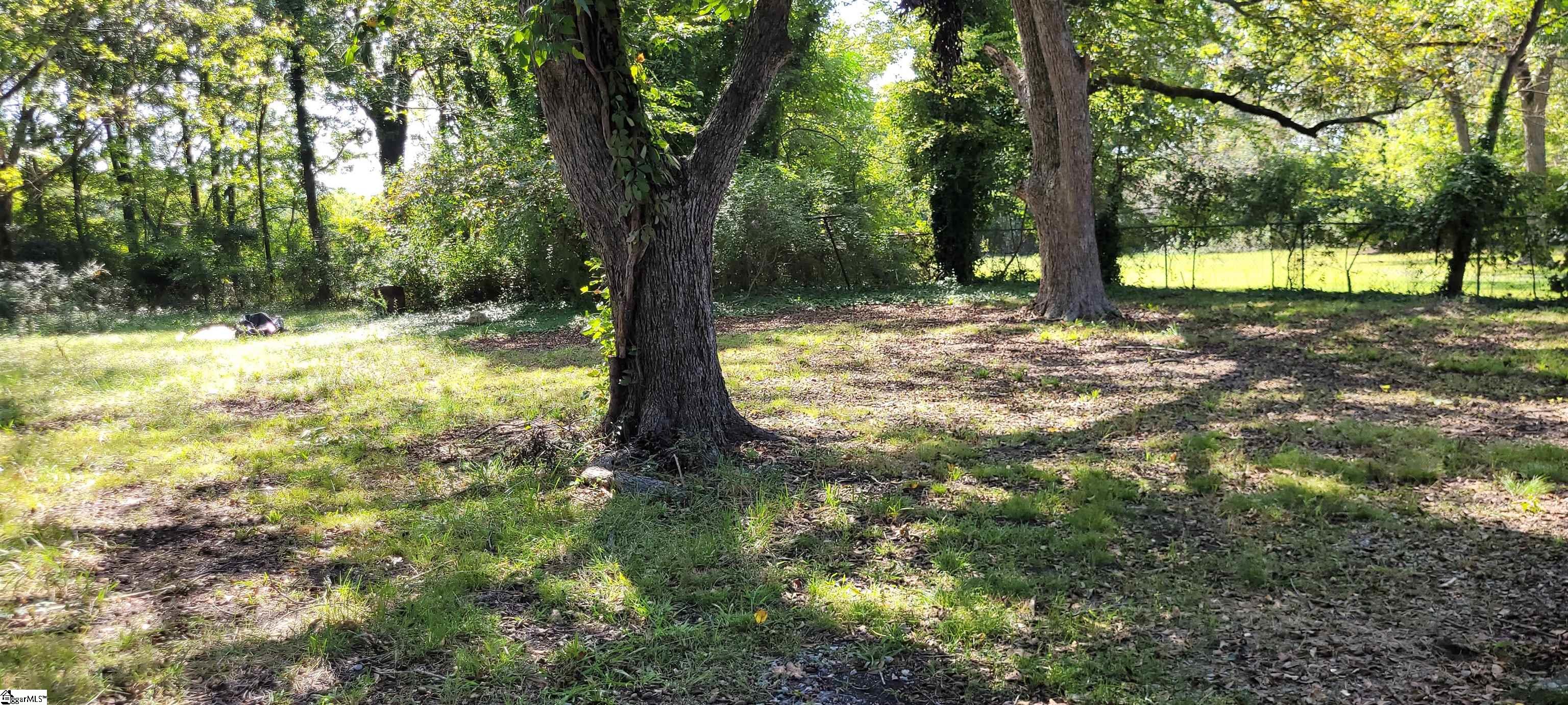 1611 Gary Street Clinton, SC 29325 - Photo 11 of 11