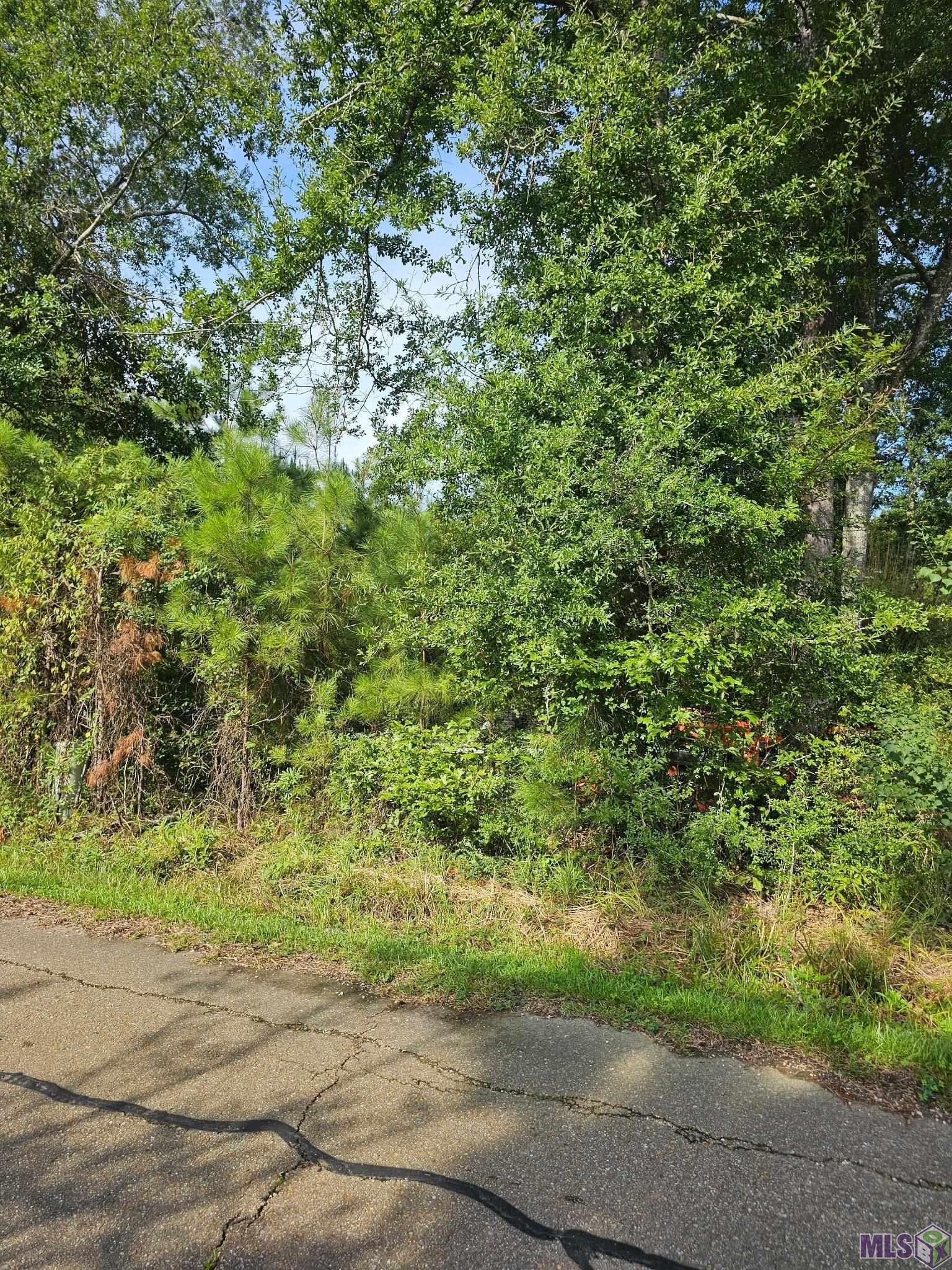 Tbd Ratcliff Boulevard Springfield, LA 70462 - Photo 2 of 4