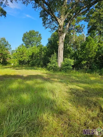 $30,000 | Tbd Ratcliff Boulevard, Springfield, LA 70462