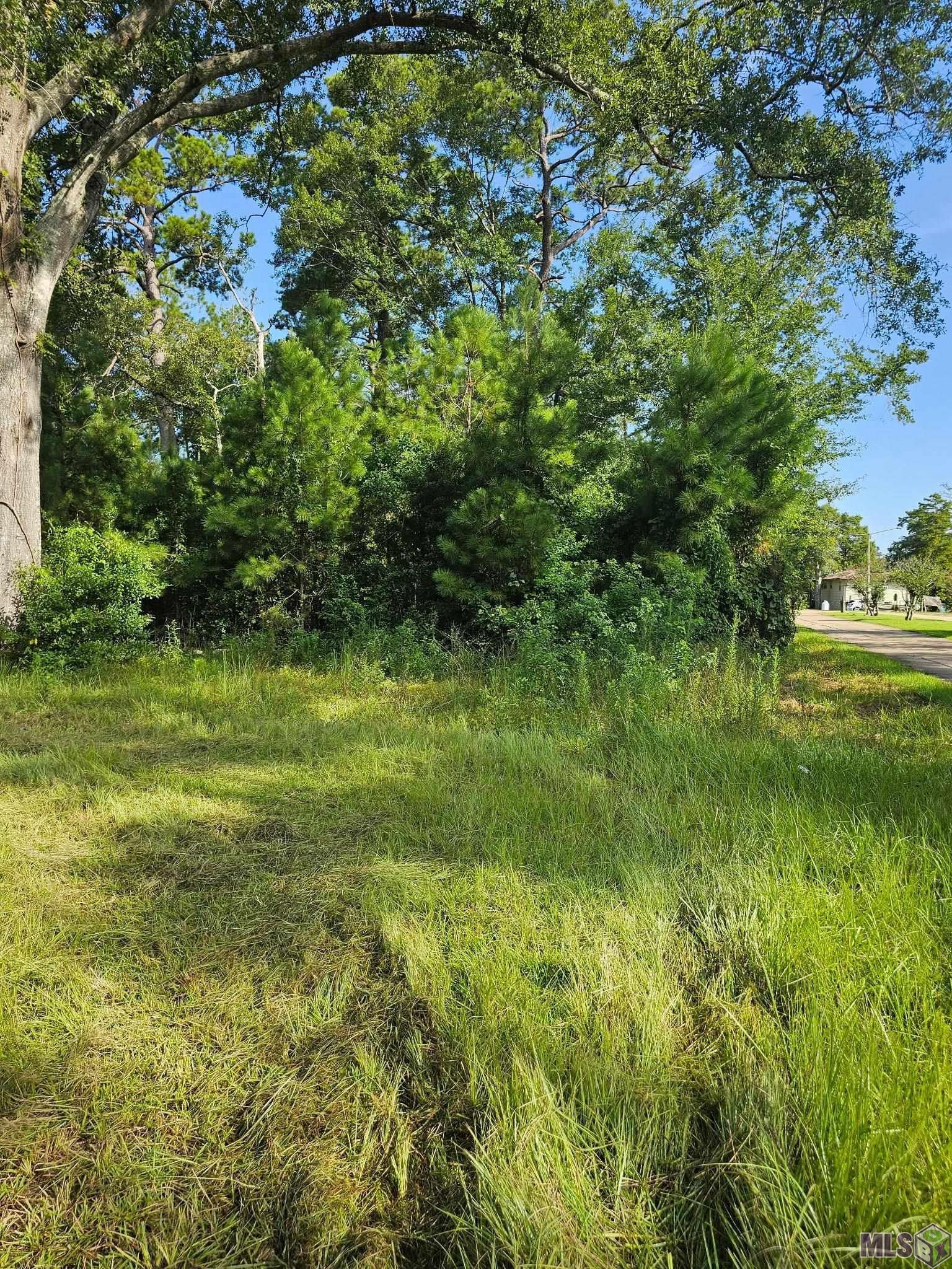 Tbd Ratcliff Boulevard Springfield, LA 70462 - Photo 4 of 4