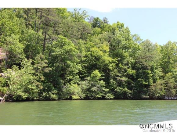 2 Buffalo Shoals Road, Unit 2 Lake Lure, NC 28746 - Photo 2 of 6 Gallery Image 2
