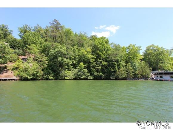 2 Buffalo Shoals Road, Unit 2 Lake Lure, NC 28746 - Photo 3 of 6 Gallery Image 3