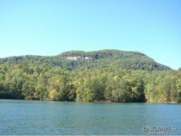 2 Buffalo Shoals Road, Unit 2 Lake Lure, NC 28746 - Photo 5 of 6 Gallery Image 5