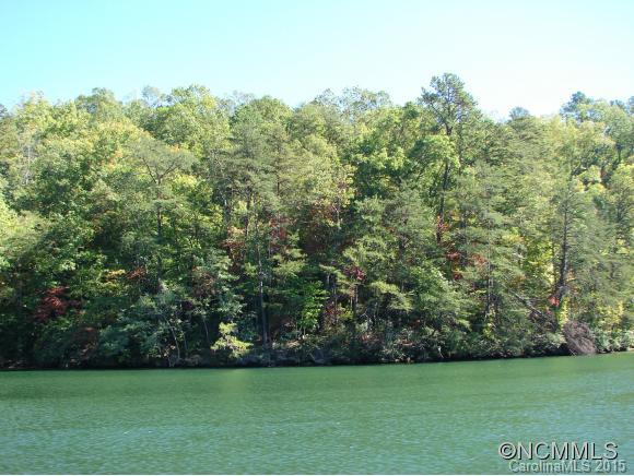 2 Buffalo Shoals Road, Unit 2 Lake Lure, NC 28746 - Photo 6 of 6 Gallery Image 6