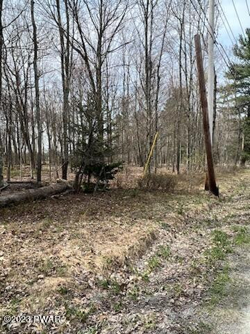 Daniels Road Hawley, PA 18428 - Photo 3 of 6
