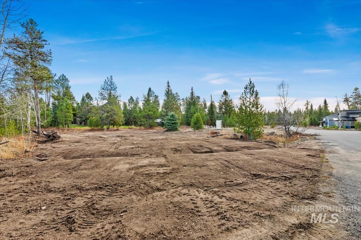 11 Pointe At Goldfork Court Donnelly, ID 83615 - Photo 5 of 21